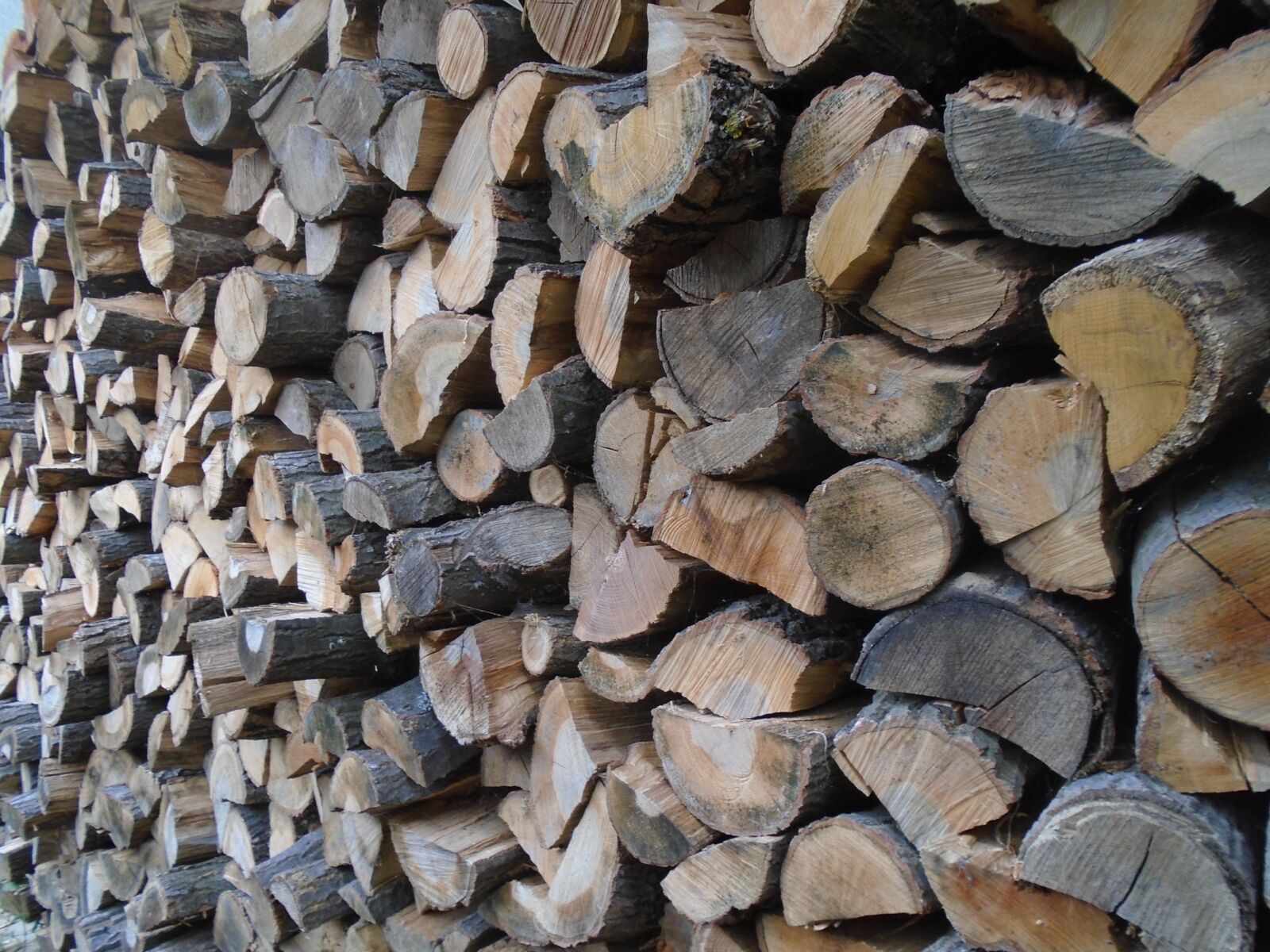 Sony Cyber-shot DSC-W800 sample photo. Wood, woodpile, fuel photography