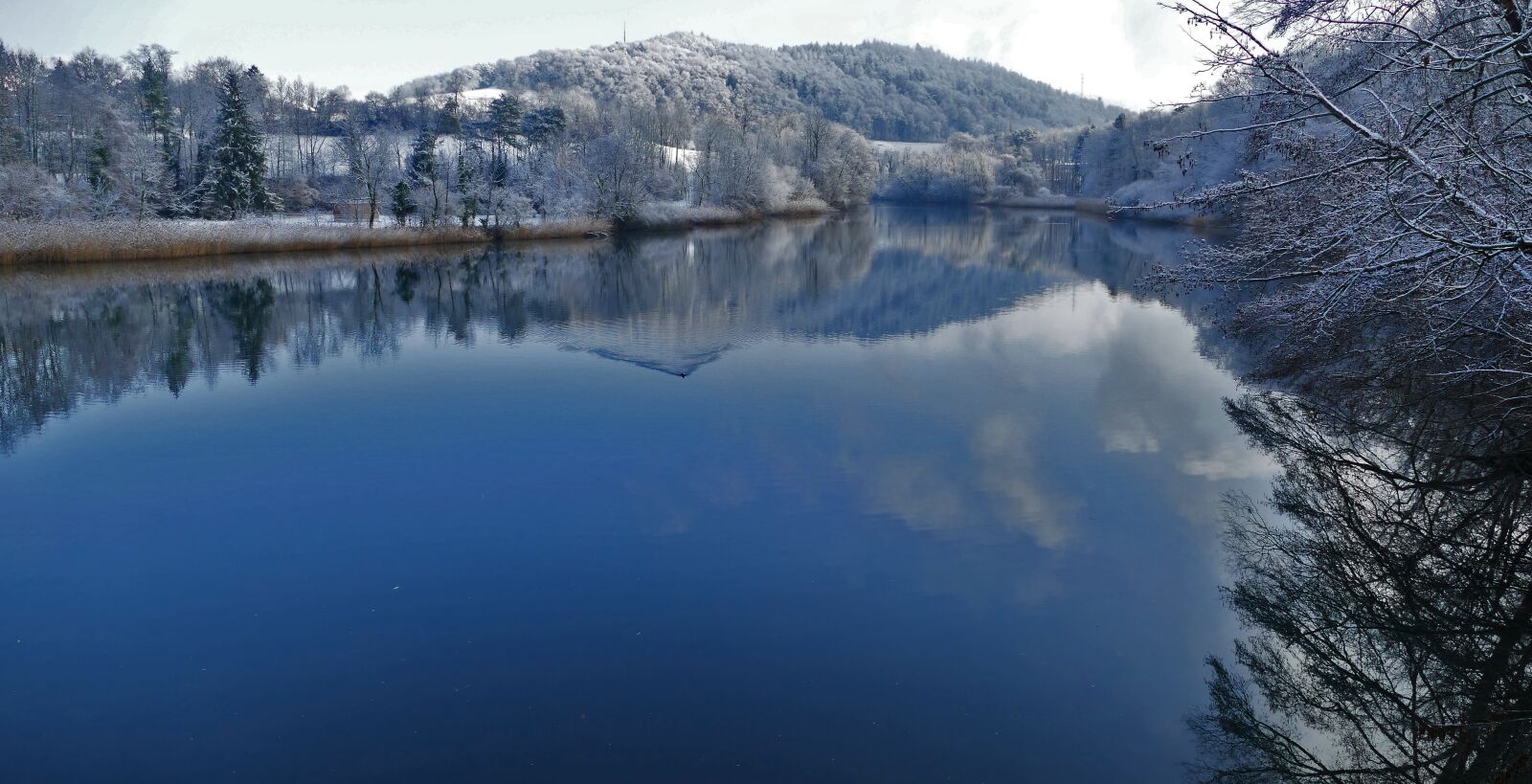 Panasonic Lumix DMC-FZ1000 sample photo. Nature, landscape, winter photography