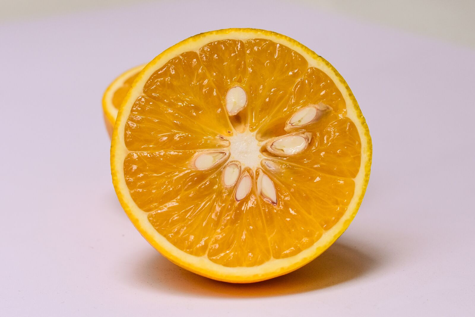 Nikon D3400 sample photo. Orange photography