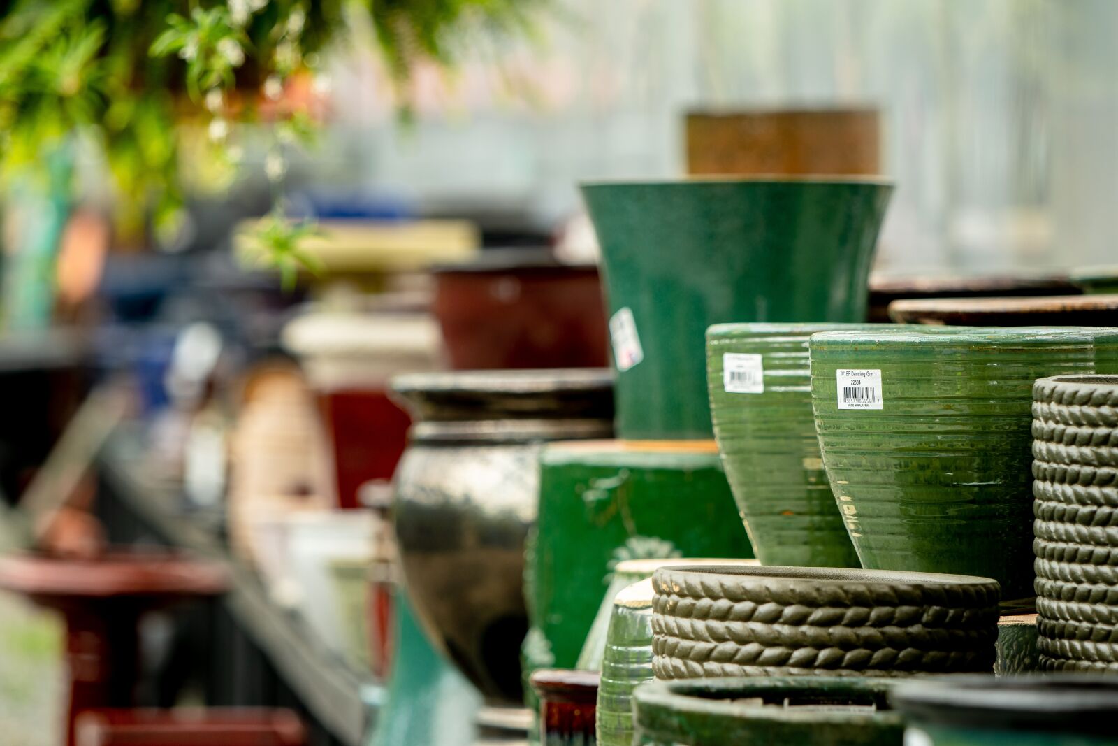 Nikon D500 sample photo. Pots, greenhouse, garden photography