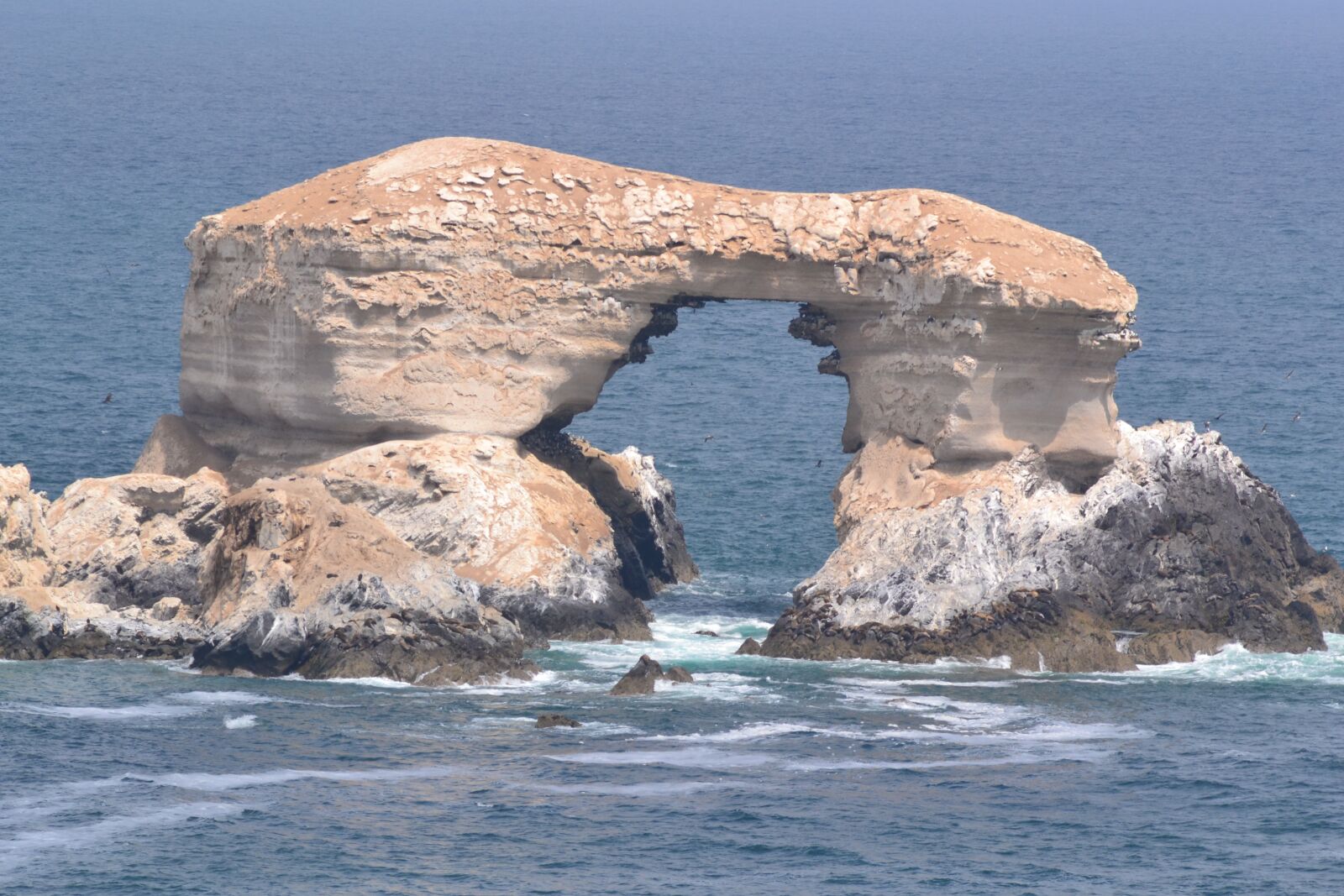 Nikon D3100 sample photo. Chile, antofagasta, city photography