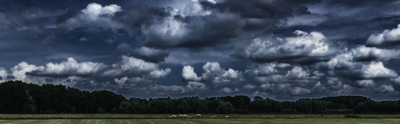 Panasonic Lumix DMC-FZ200 sample photo. Landscape photography