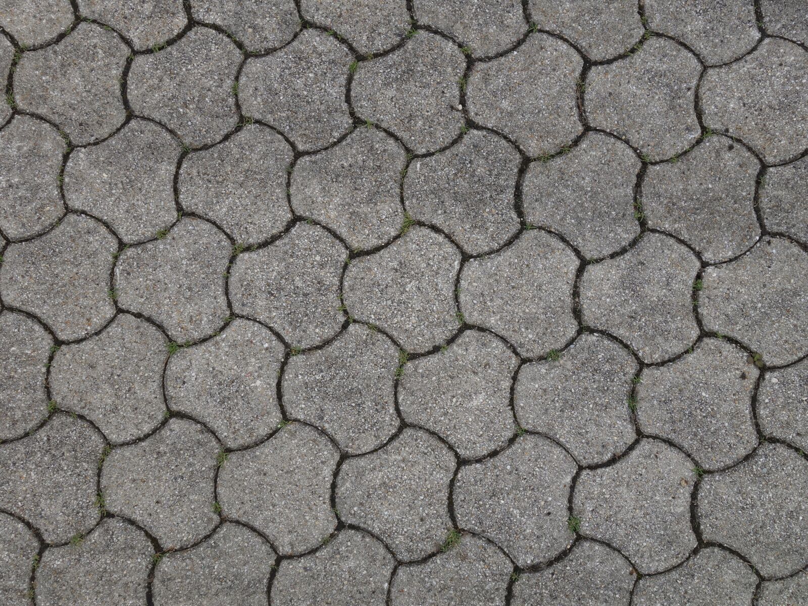 Sony Cyber-shot DSC-RX100 II sample photo. Patch, brick, hexagonal photography