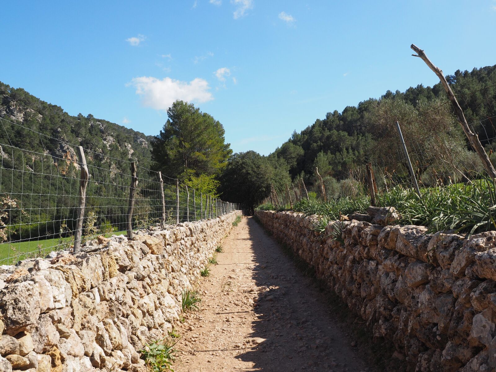 Olympus OM-D E-M1 + Olympus M.Zuiko Digital ED 12-40mm F2.8 Pro sample photo. Away, lane, stone wall photography