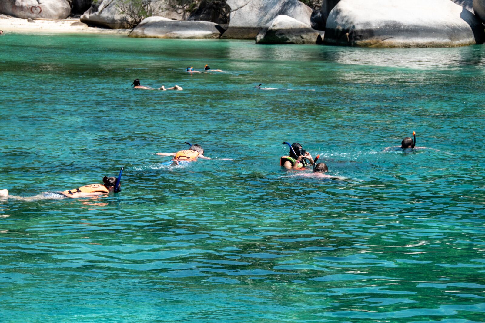Nikon D5600 sample photo. Snorkeling, sea, water photography
