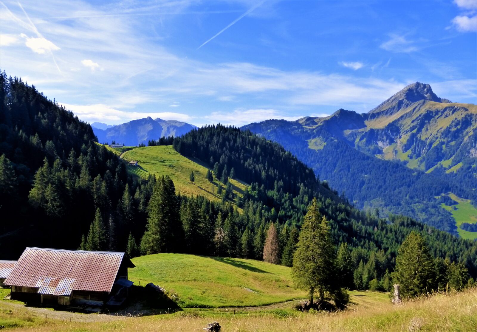 Panasonic Lumix DMC-ZS25 (Lumix DMC-TZ35) sample photo. Nature, france, alps photography