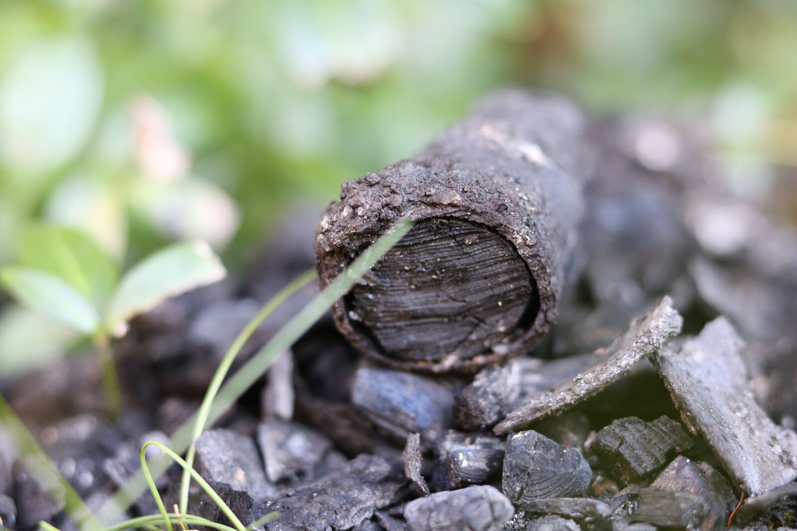 Canon EOS 750D (EOS Rebel T6i / EOS Kiss X8i) sample photo. Carbon, burned, charred photography