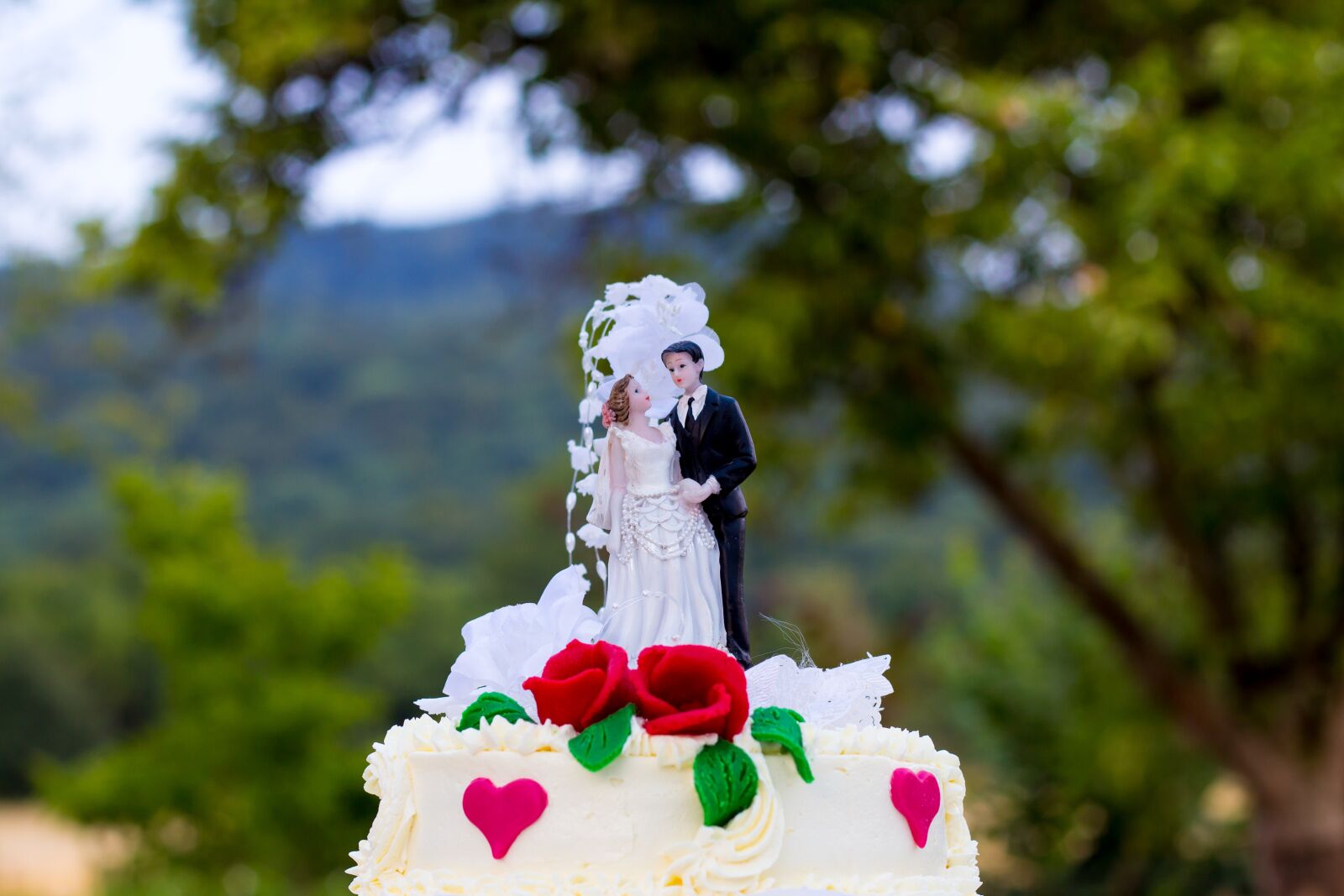 Canon EOS 700D (EOS Rebel T5i / EOS Kiss X7i) + Canon EF 50mm F1.8 II sample photo. Wedding, cake, marry photography
