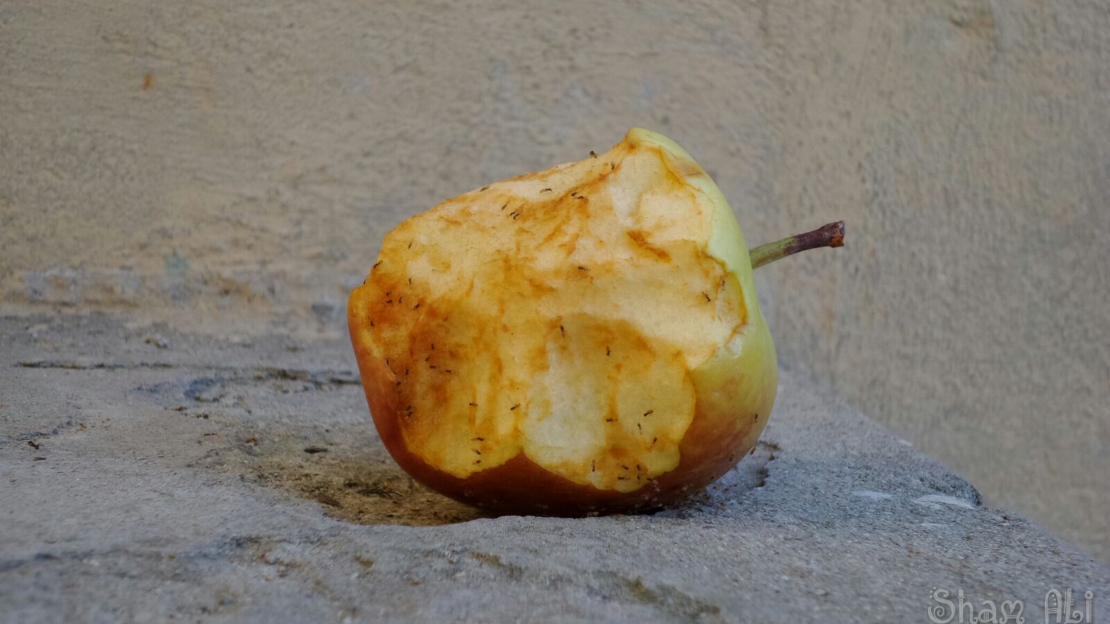 Samsung Galaxy K Zoom sample photo. Apple, beauty, food photography