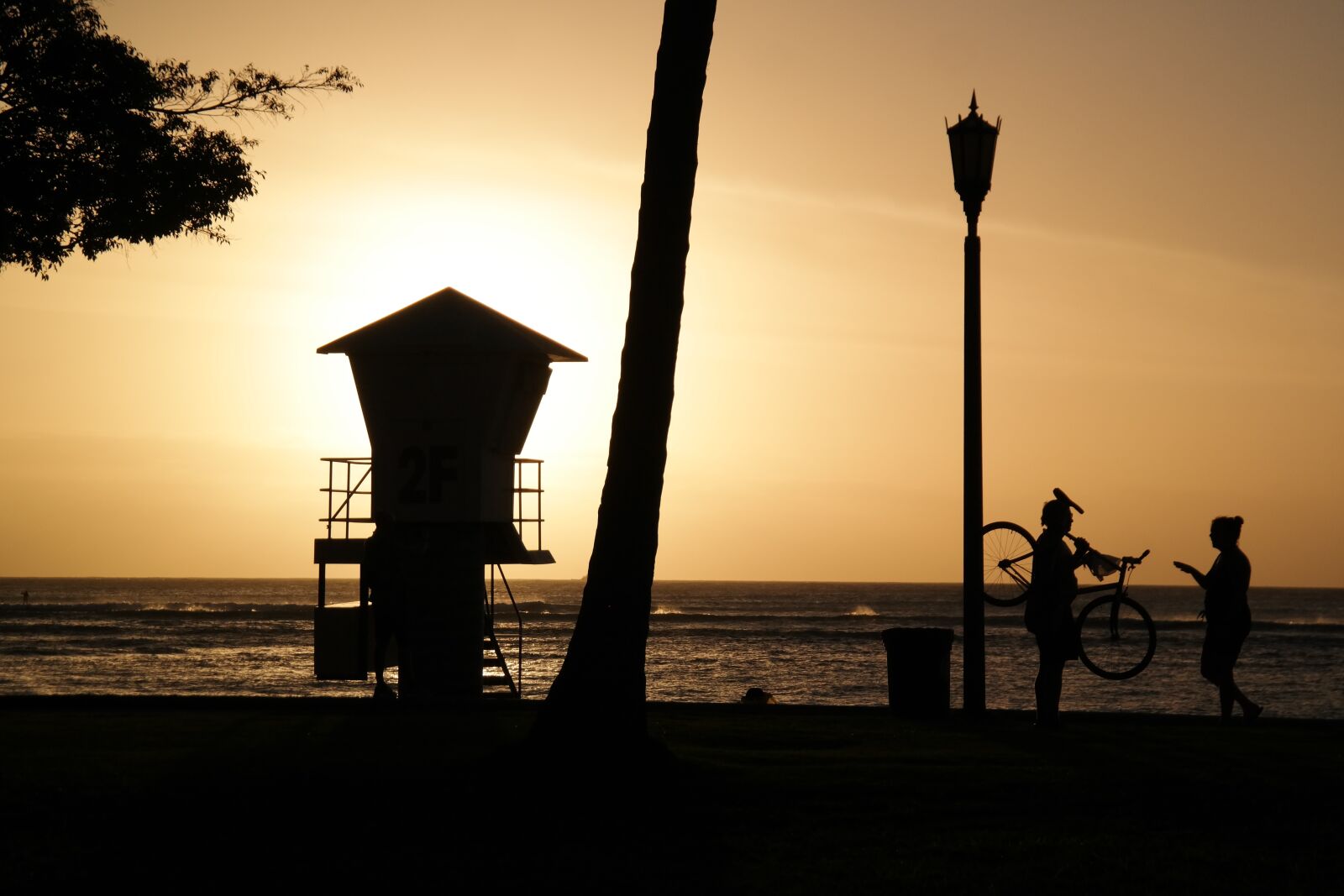 Samsung NX300 sample photo. Beach, silhouette, yellow photography