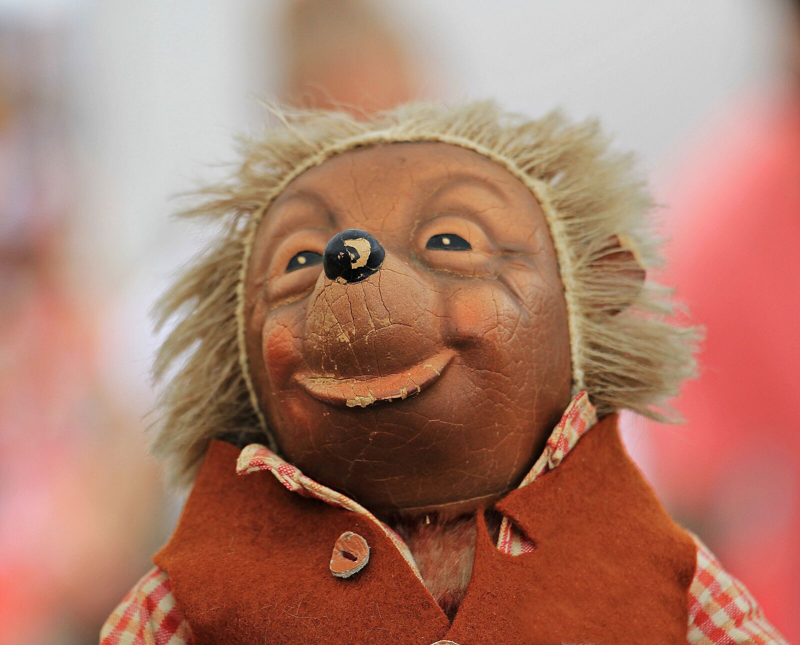 Canon EOS 550D (EOS Rebel T2i / EOS Kiss X4) sample photo. Mecki, hedgehog, toys photography