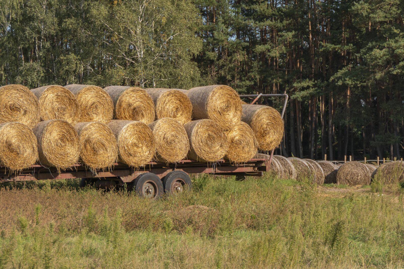 Panasonic Lumix DMC-FZ2500 (Lumix DMC-FZ2000) sample photo. Straw, harvest, field photography