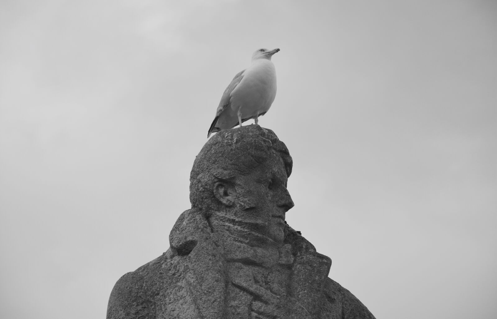 Nikon D5200 sample photo. Statue, fran ois ren photography