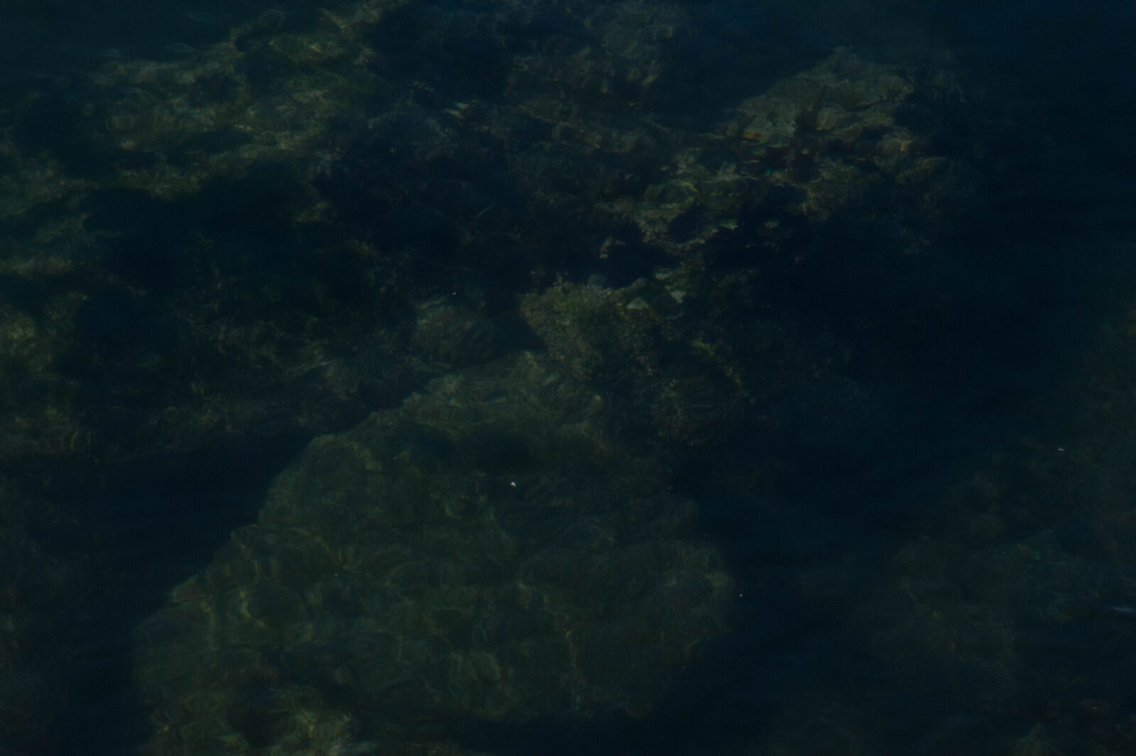 Nikon AF-S DX Nikkor 55-200mm F4-5.6G VR sample photo. Harbor, ocean, underwater photography