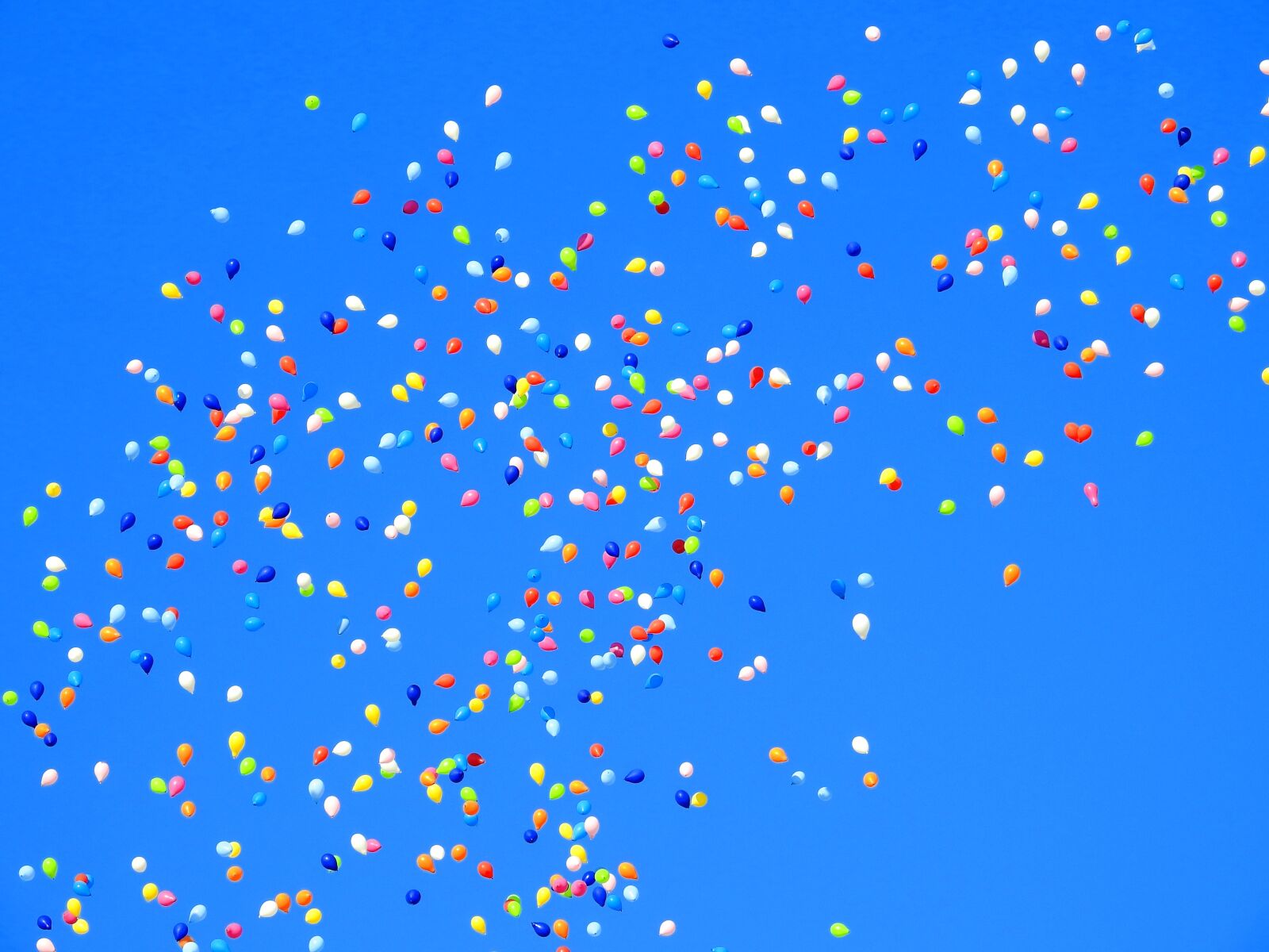 Nikon Coolpix P900 sample photo. Balloon, party, carnival photography