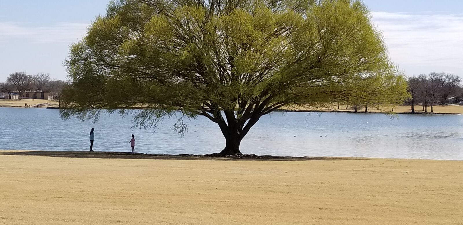 Samsung Galaxy S8 sample photo. Lake, fishing, tree photography