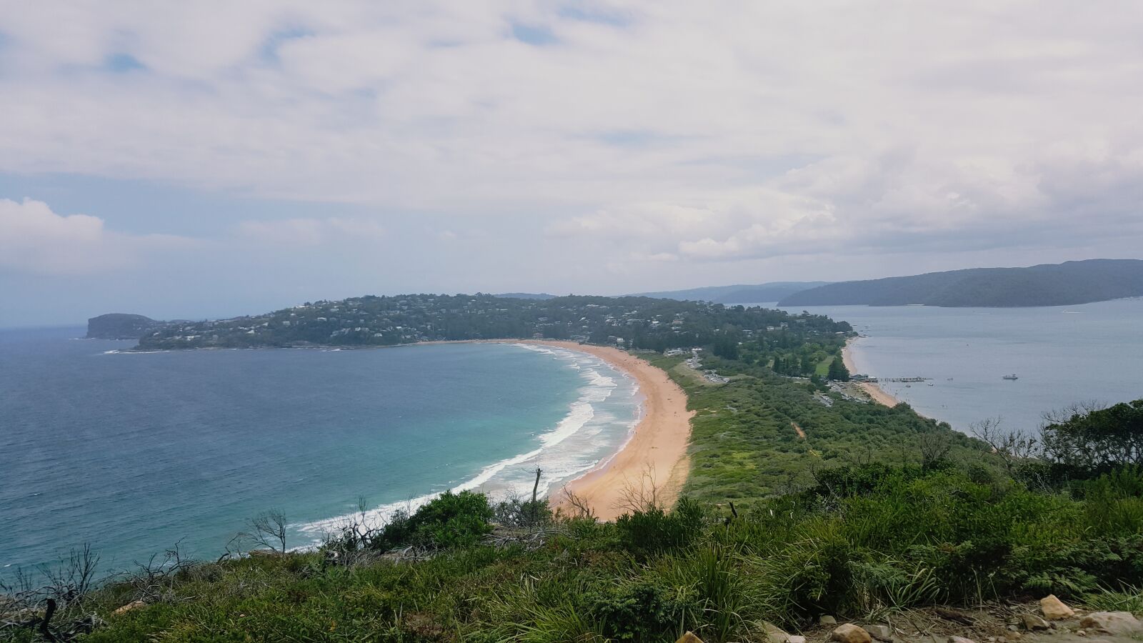 Samsung Galaxy Note5 sample photo. Nsw, palm, beach, syndey photography