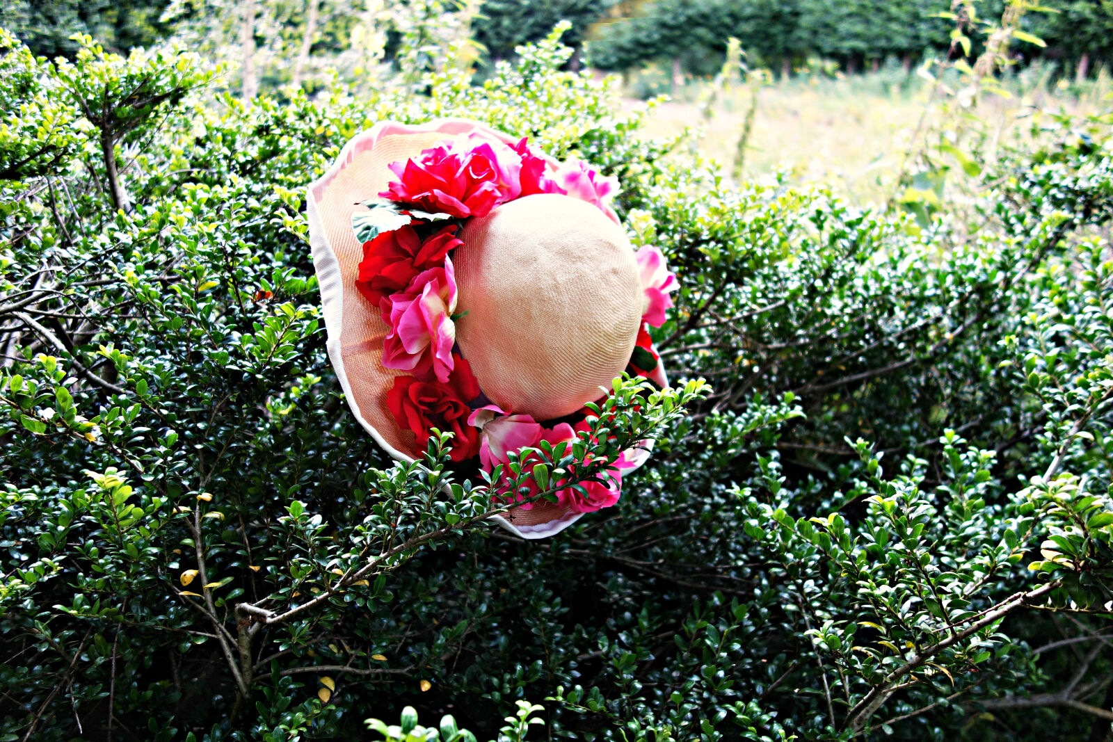 Sony Cyber-shot DSC-RX100 sample photo. Accessory, fashion, floral, hat photography