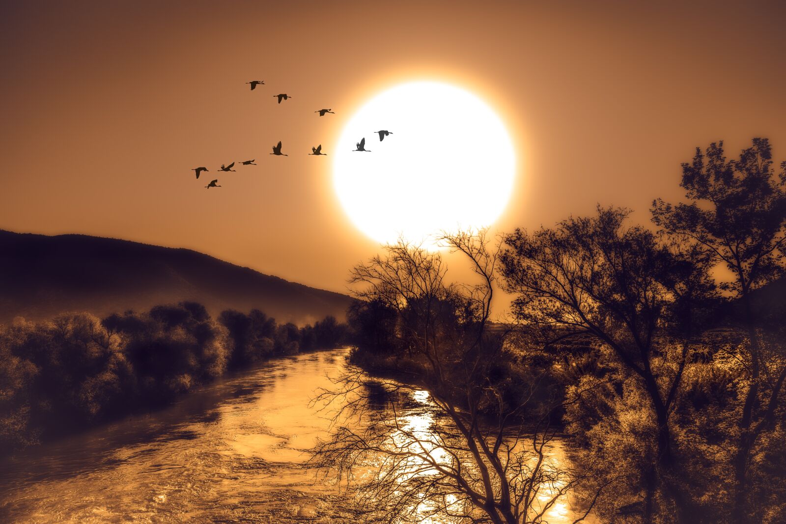 Fujifilm X-T20 sample photo. Sun, river, trees photography