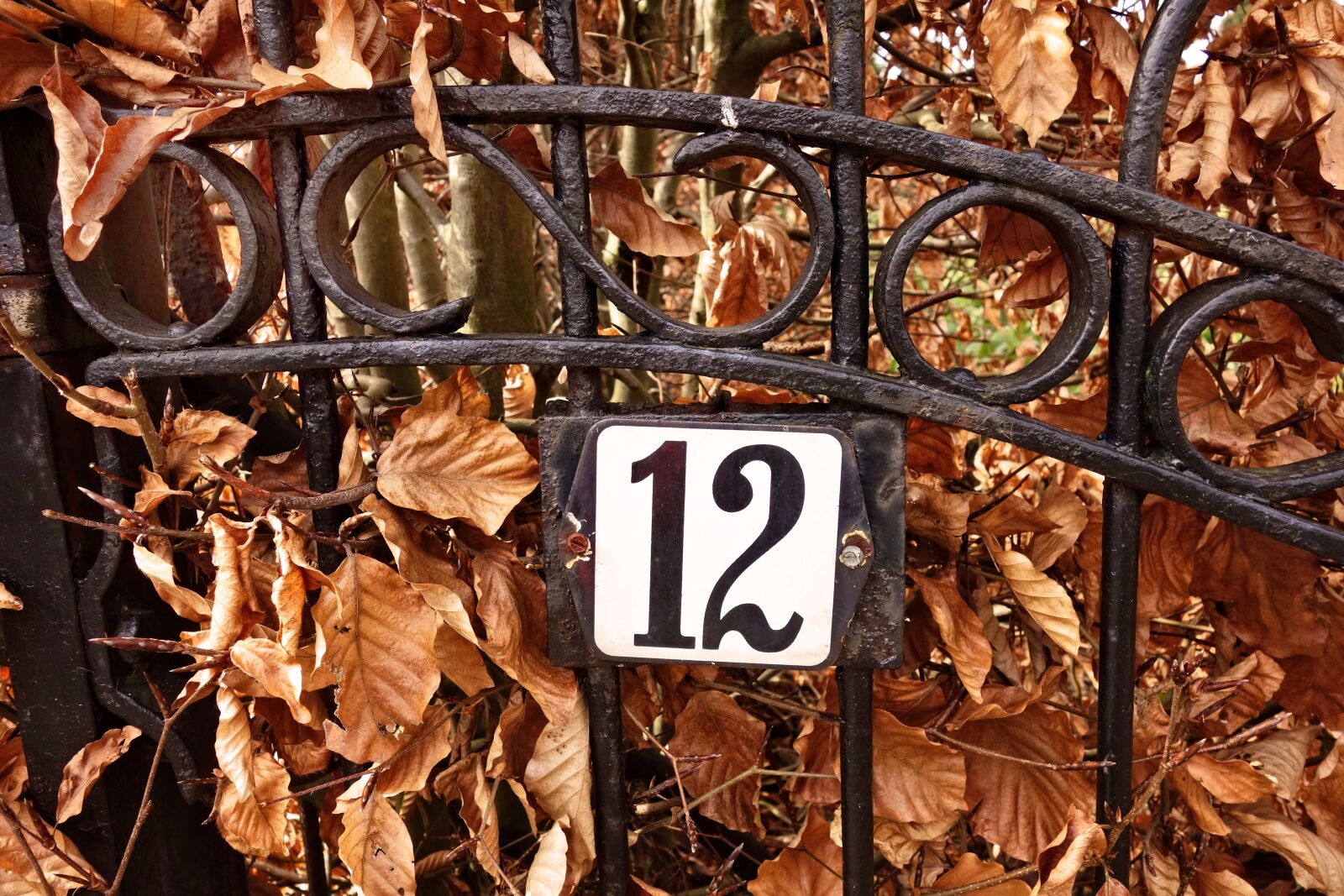 Sony Cyber-shot DSC-RX100 sample photo. Gate, wrought iron, iron photography