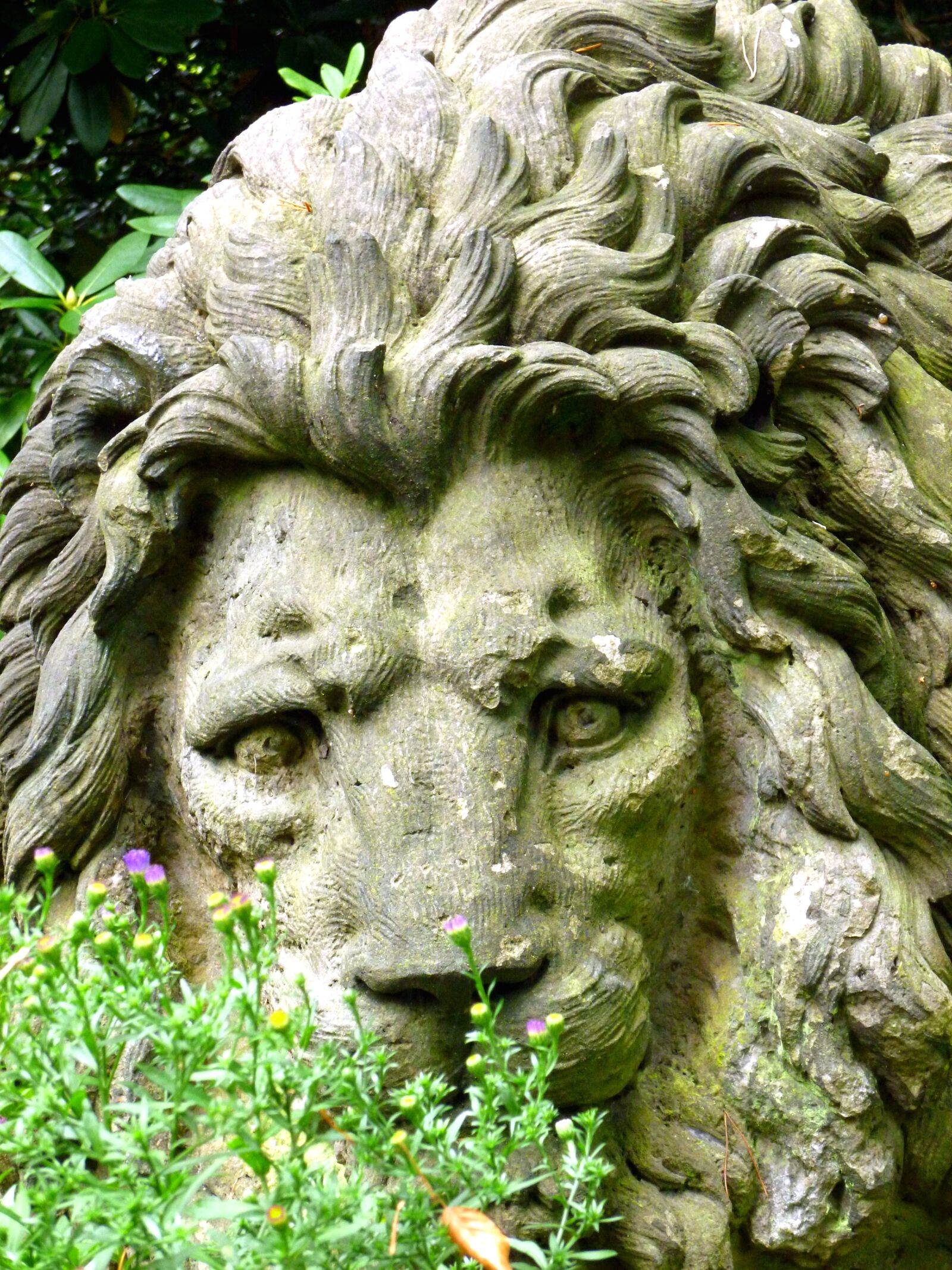 Panasonic DMC-FS37 sample photo. Stone figure, stone lion photography