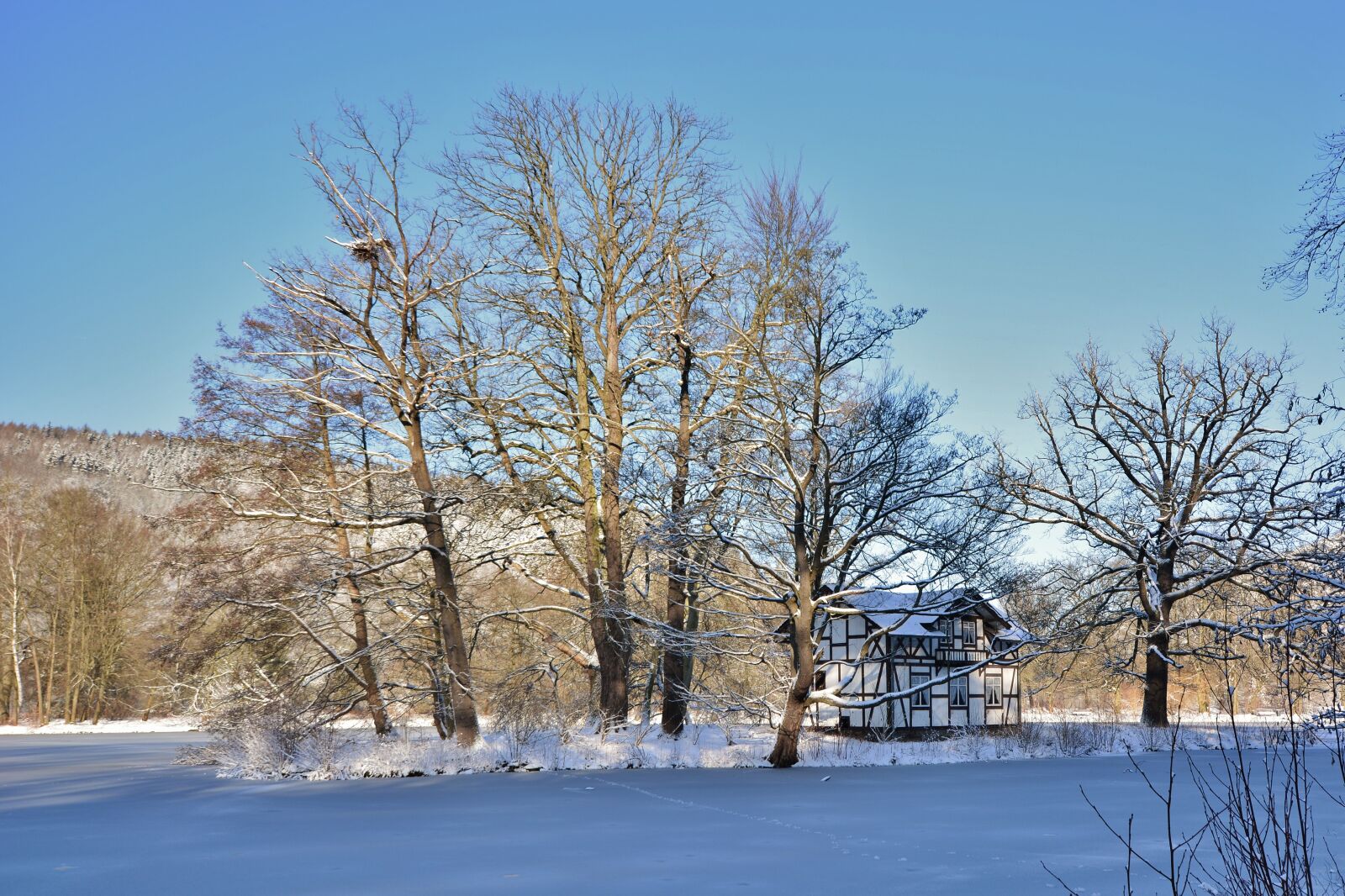 Nikon D5200 sample photo. Winter, park, lake photography
