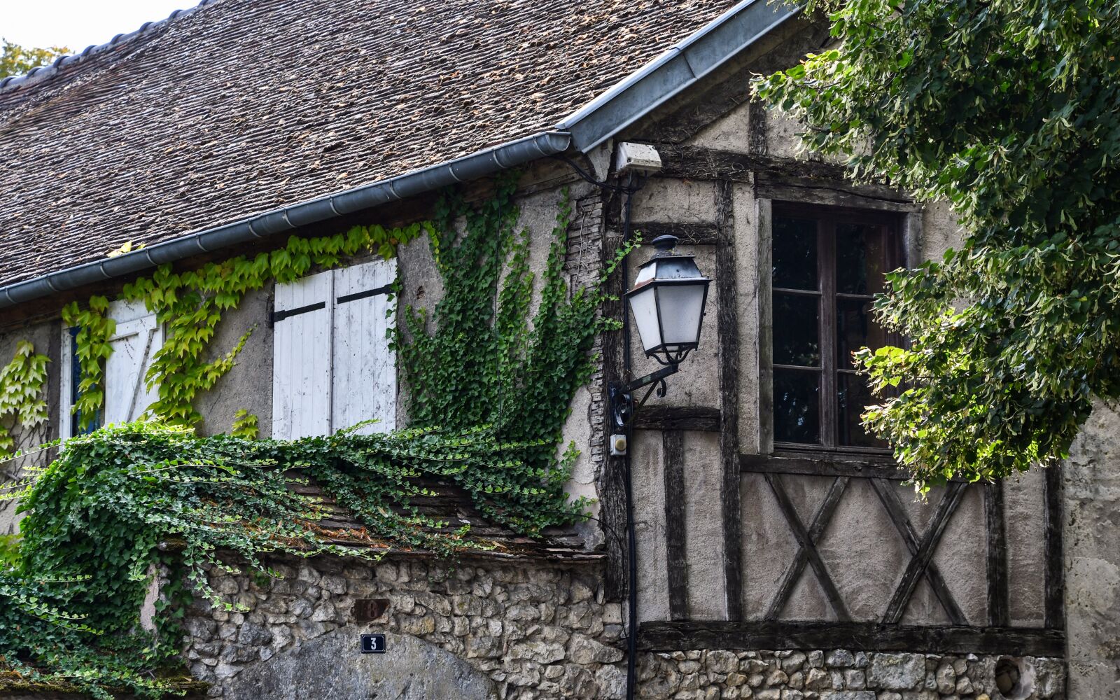 Nikon D500 sample photo. House, facade, former photography