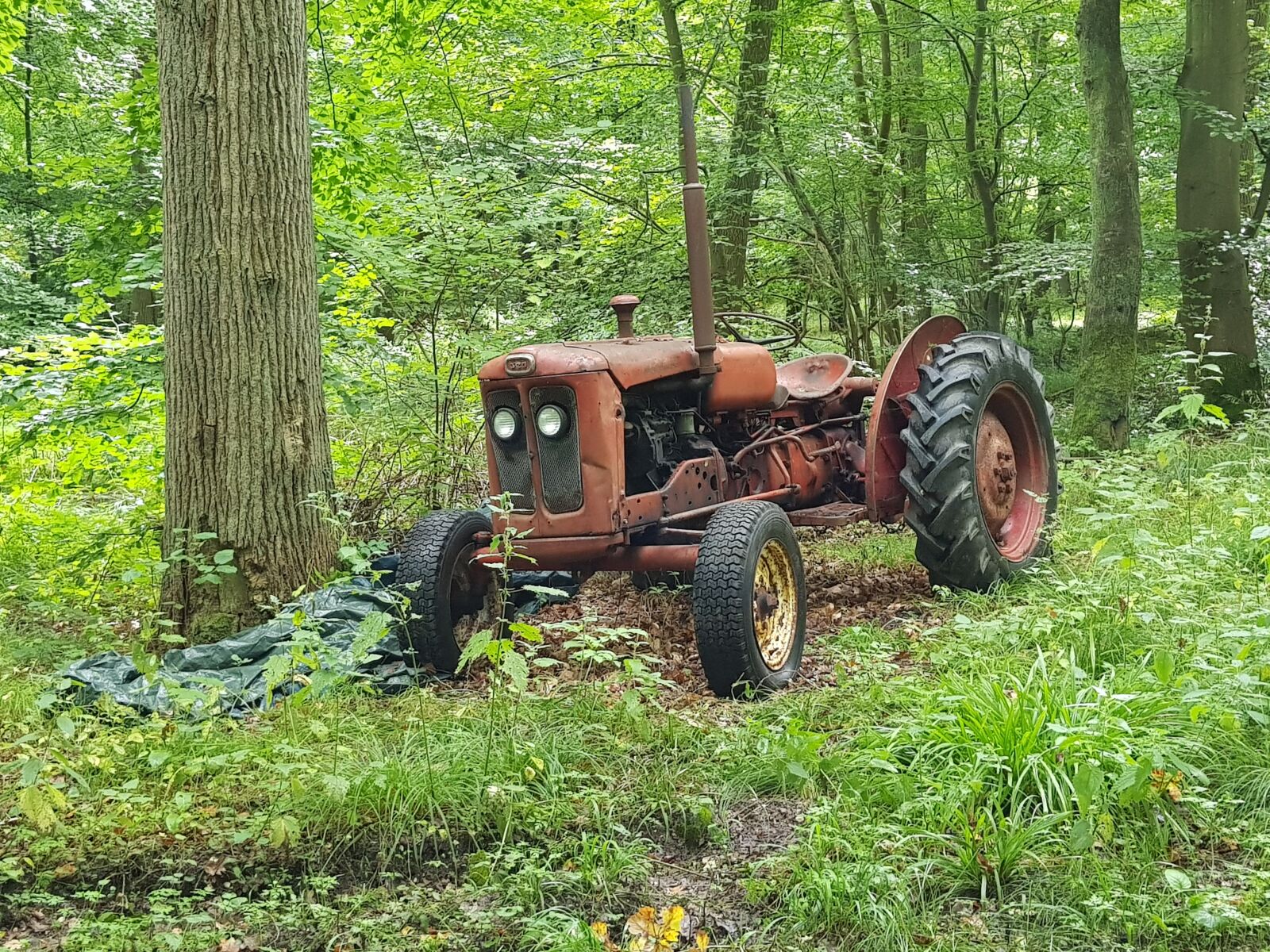 Samsung Galaxy S8+ sample photo. Tractors, forest, nature photography