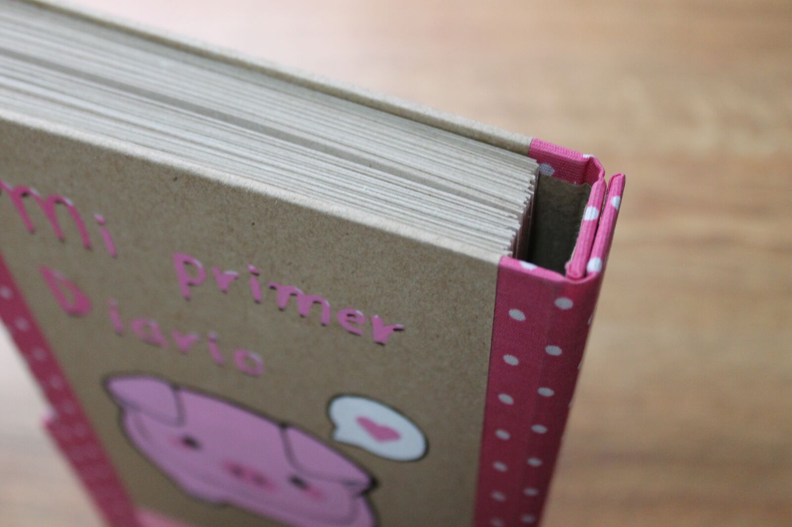 Canon EOS 1100D (EOS Rebel T3 / EOS Kiss X50) sample photo. Address book, daily, to photography