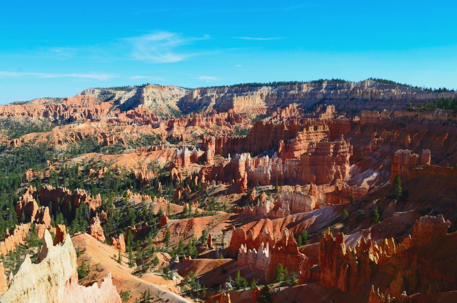 Nikon D3100 sample photo. Bryce, utah, red photography