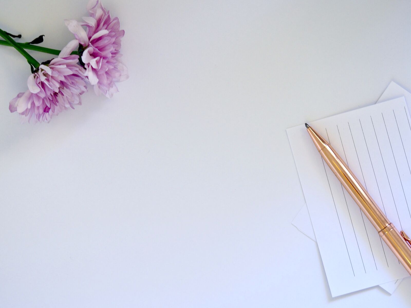 Olympus OM-D E-M10 II sample photo. Whitespace, business, office photography