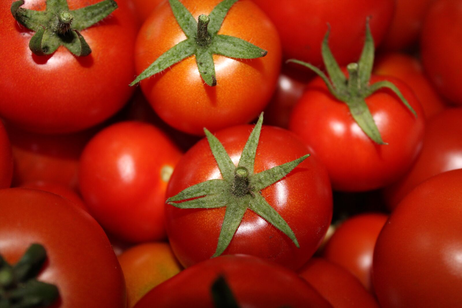 Canon EOS 1200D (EOS Rebel T5 / EOS Kiss X70 / EOS Hi) sample photo. Tomatoes, red, vegetables photography