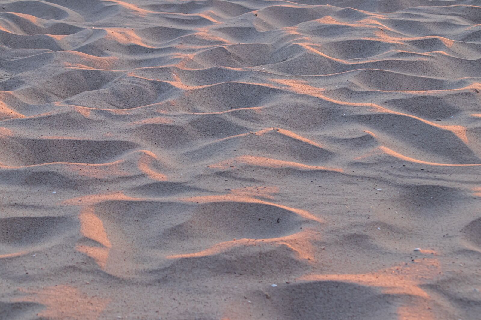 Canon EOS 80D sample photo. Beach, sand, sea photography