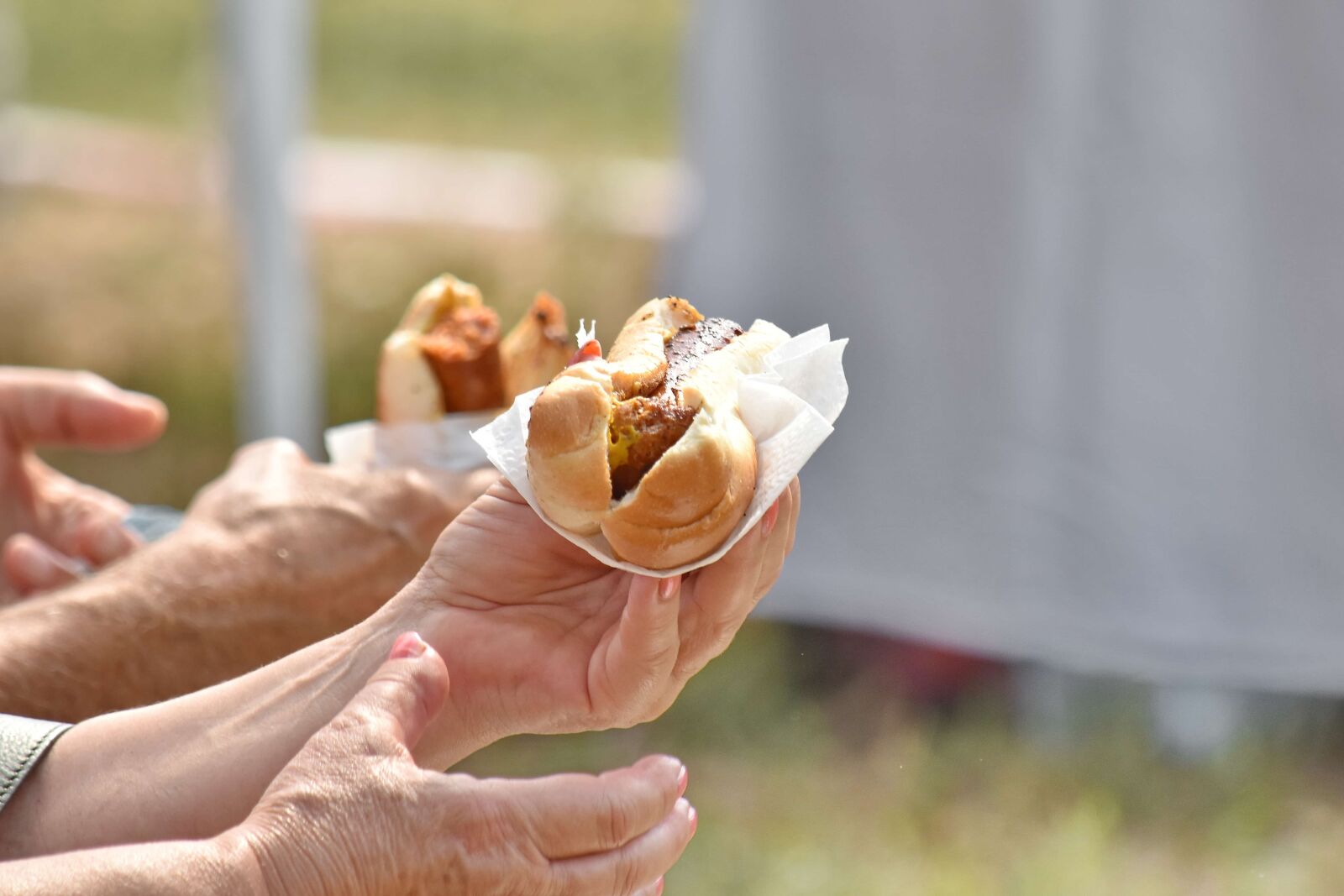 Nikon D5500 sample photo. Fast food, hands, outdoor photography