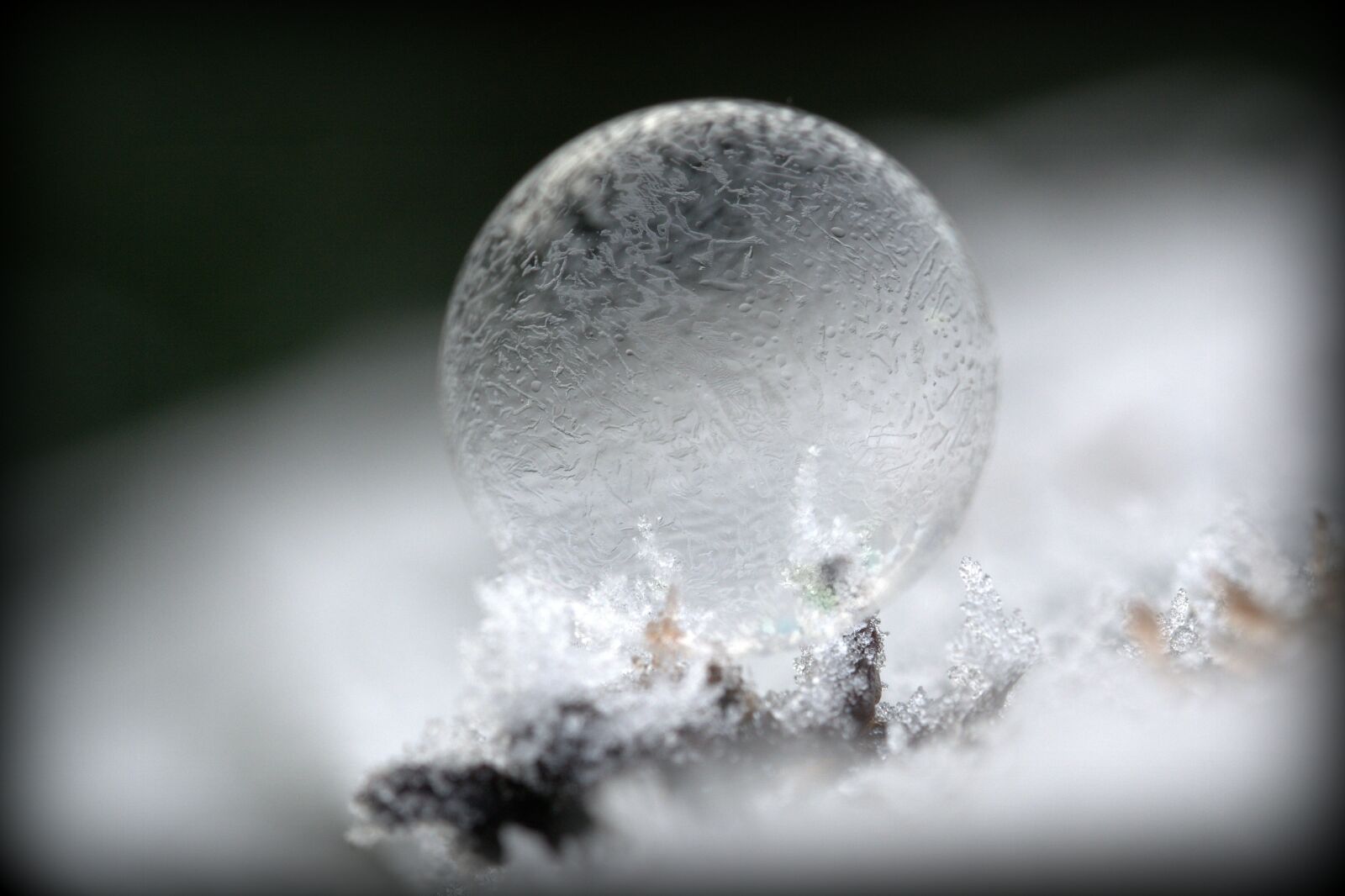 Nikon D5200 sample photo. Soap bubble, mirroring, colorful photography