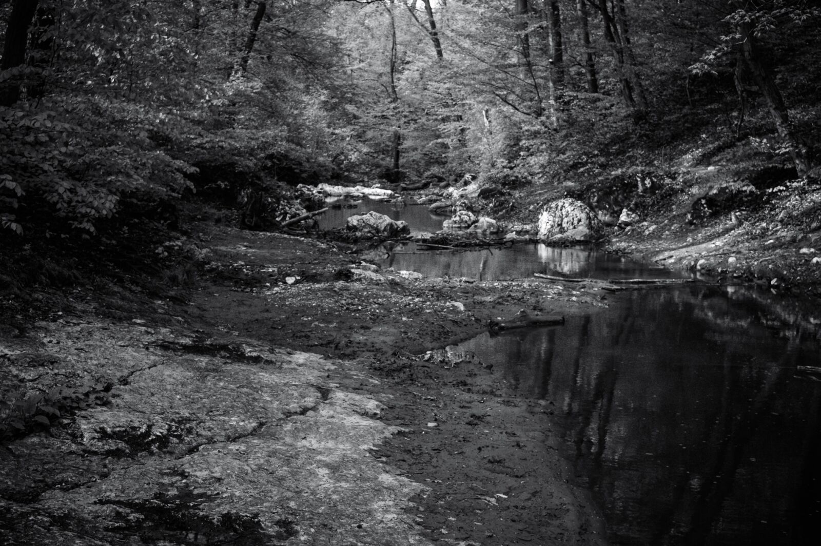 Nikon D3200 sample photo. Creek, black and white photography
