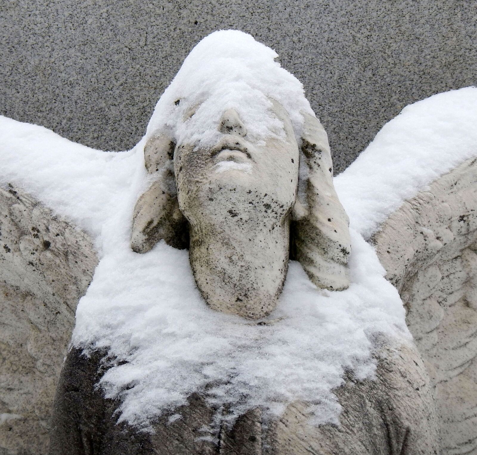 Nikon Coolpix AW110 sample photo. Angel, snow, sculpture photography