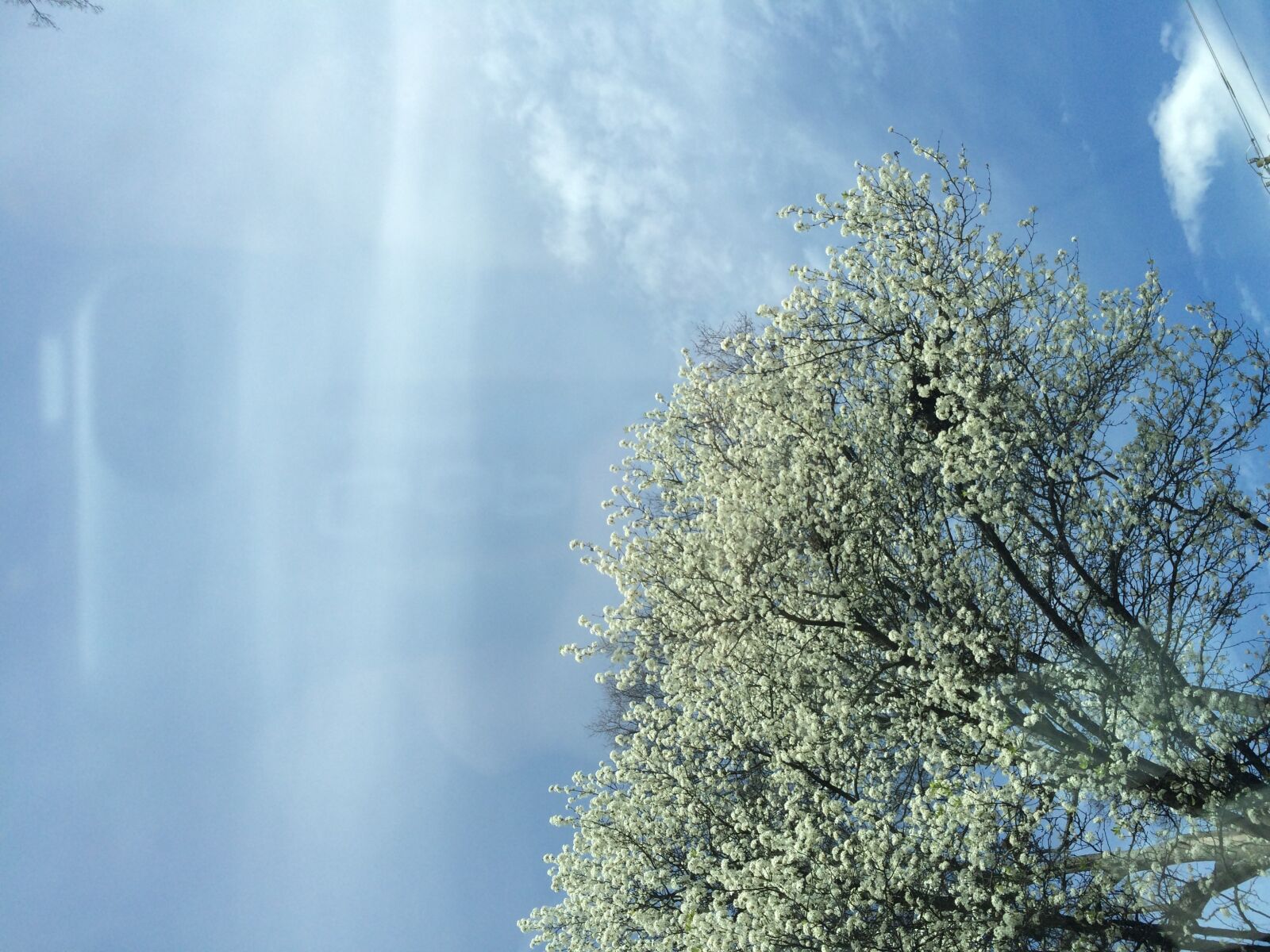 Apple iPhone 5s sample photo. Blossoms, sky, spring, tree photography