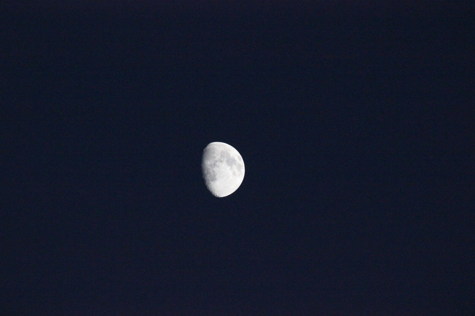 Canon EOS 550D (EOS Rebel T2i / EOS Kiss X4) sample photo. Luna, night, evening photography