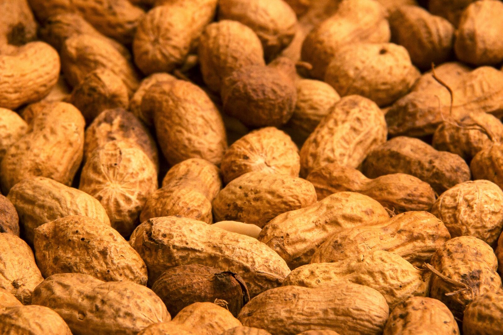 Canon EOS 600D (Rebel EOS T3i / EOS Kiss X5) sample photo. Peanut, peanuts, dried fruit photography