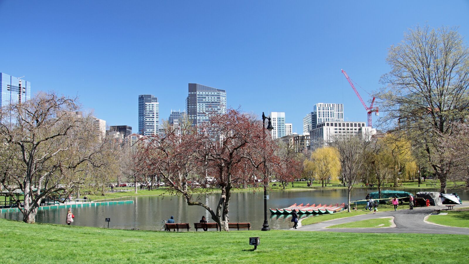 Canon EOS 7D sample photo. Public garden, boston, park photography
