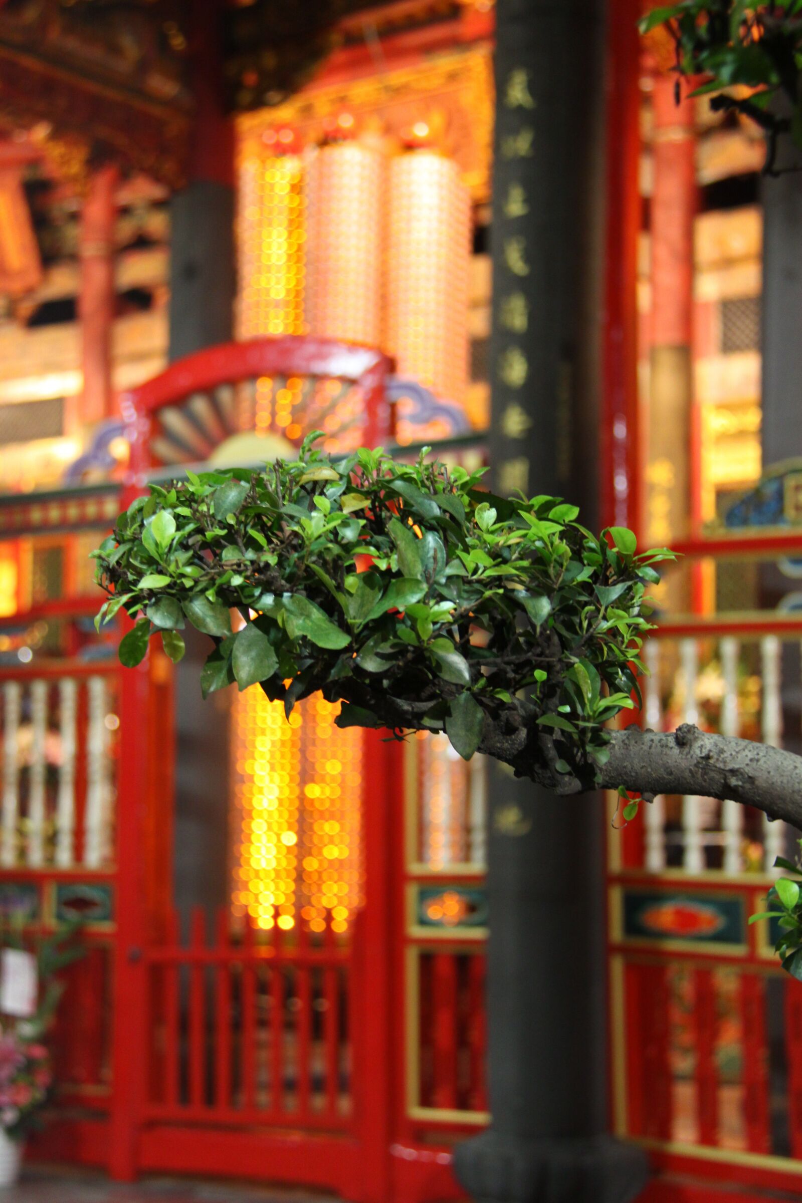 Canon EOS 50D sample photo. Taiwan, temple, buddhist photography