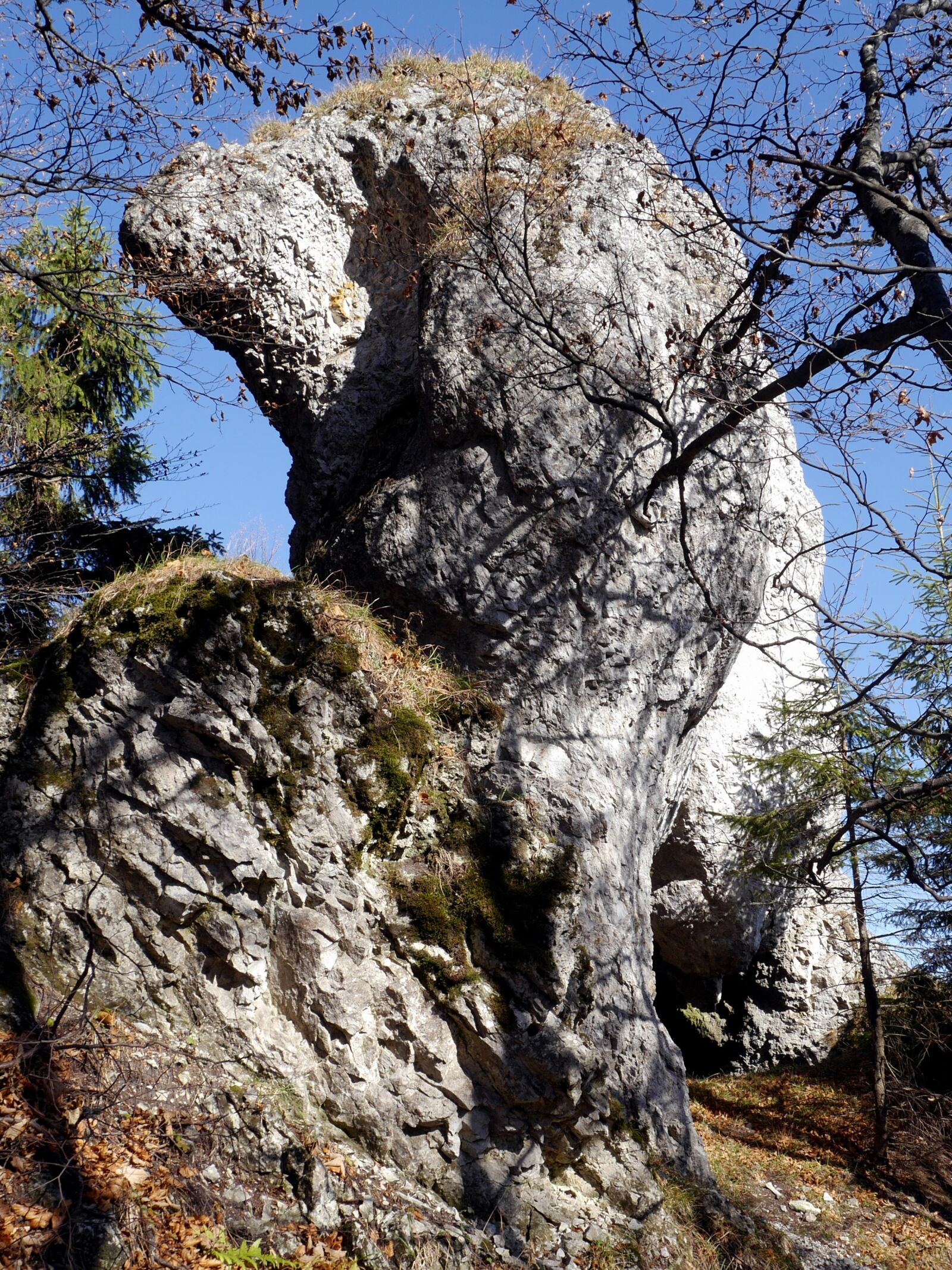 Panasonic Lumix DMC-G6 sample photo. Rock, trees, autumn photography