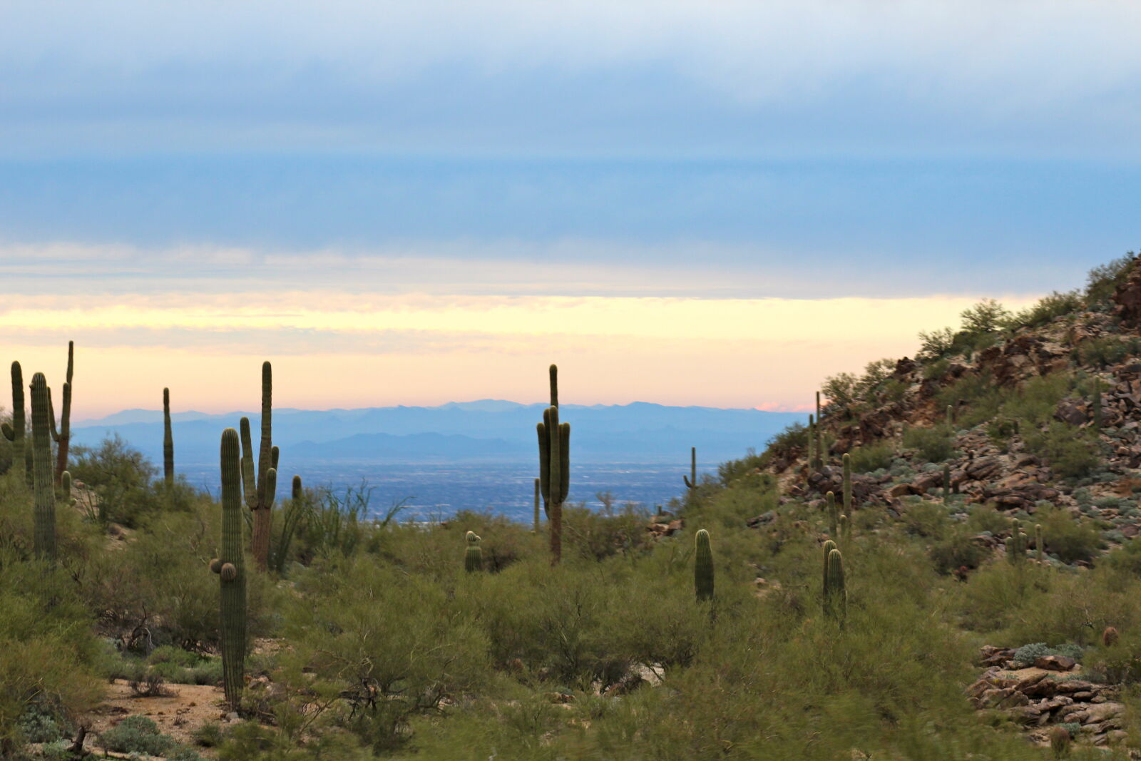Canon EF 75-300mm f/4-5.6 sample photo. Cactus, desert, green, mountains photography