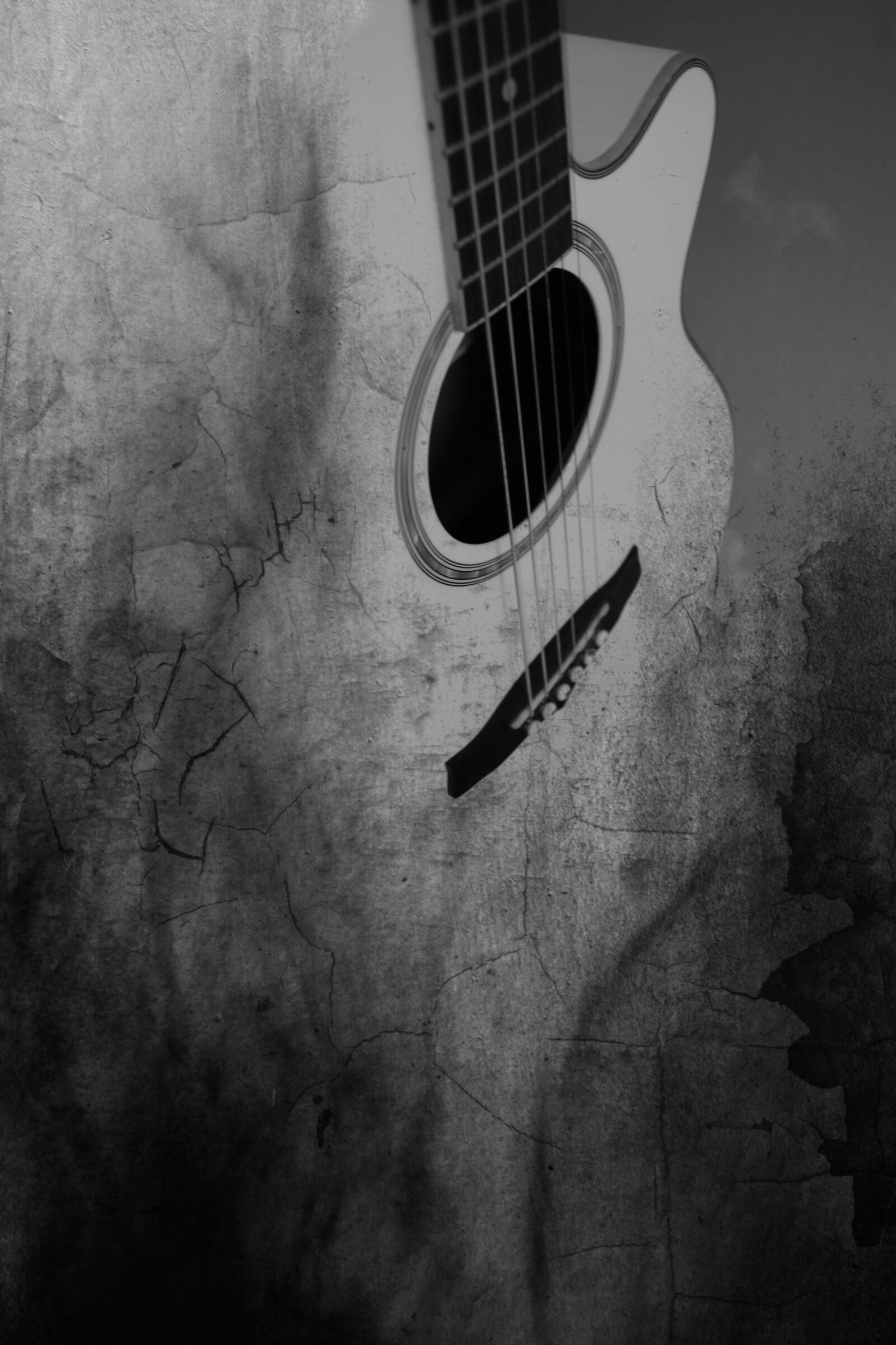 Canon EOS 550D (EOS Rebel T2i / EOS Kiss X4) sample photo. Guitar, surreal, black white photography