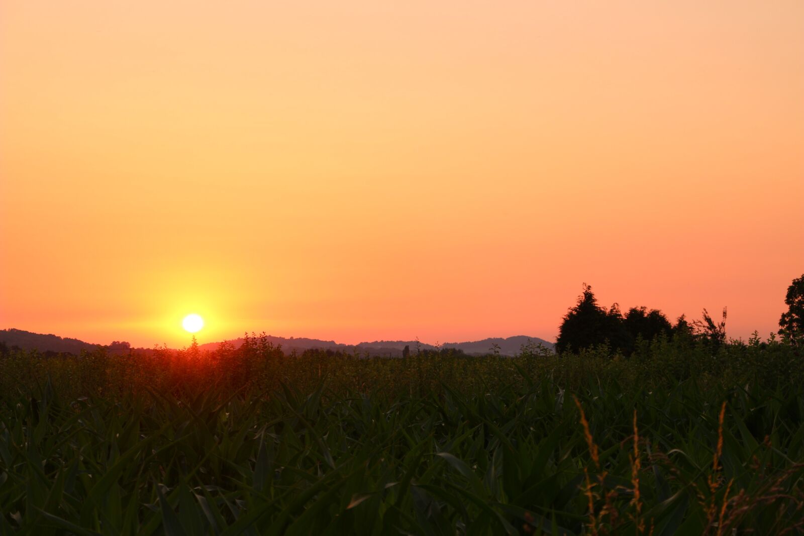 Canon EOS 100D (EOS Rebel SL1 / EOS Kiss X7) sample photo. Fields, sunset, sky photography
