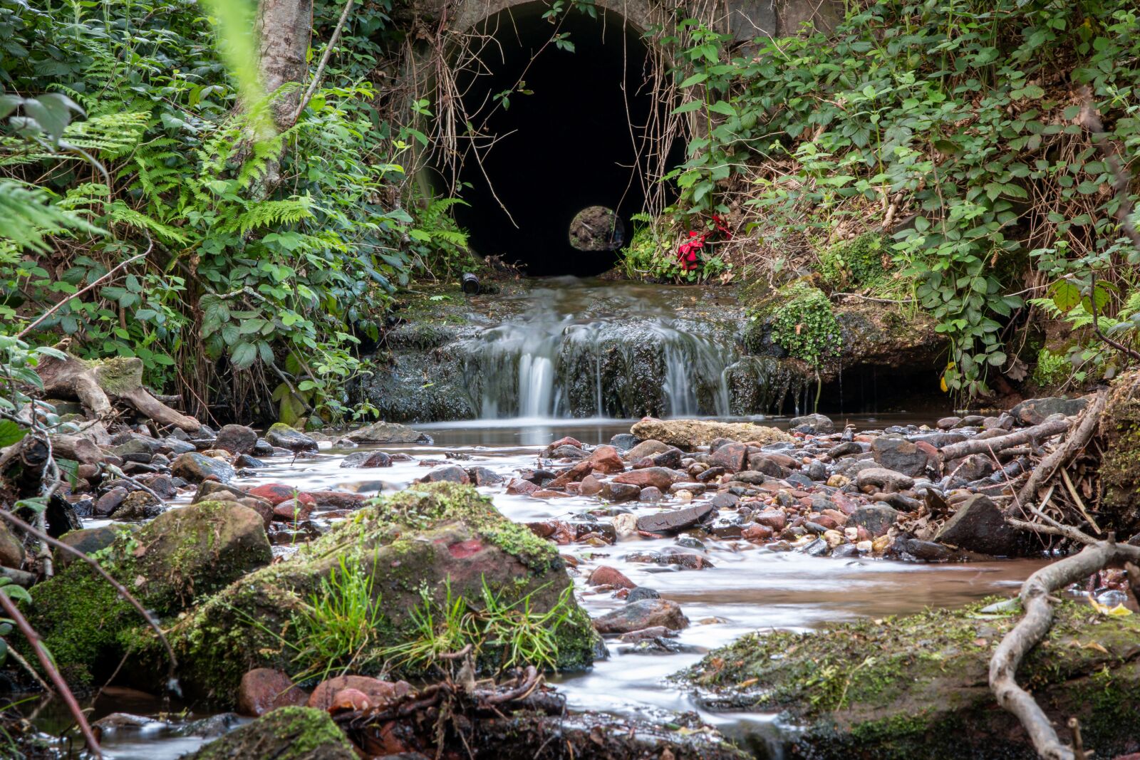 Canon EOS 70D sample photo. Bach, stones, forest photography