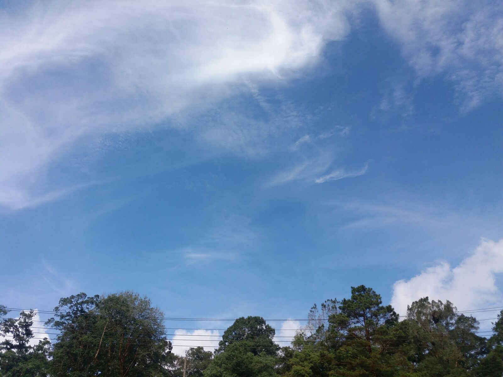 Samsung Galaxy J5 sample photo. Sky, blue, tree photography