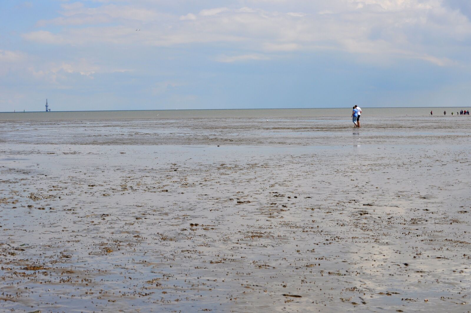 Nikon D5000 sample photo. Watts, north sea, ebb photography