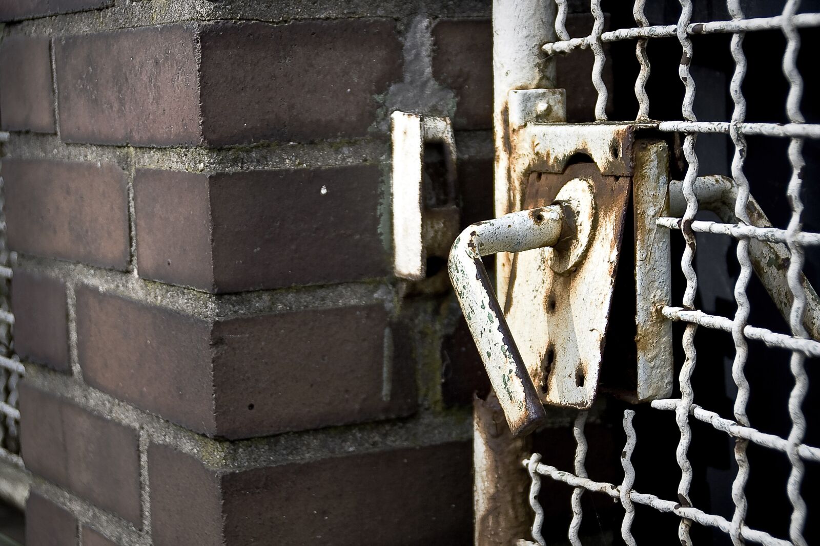 Canon EOS 1000D (EOS Digital Rebel XS / EOS Kiss F) sample photo. Rusty, close up, old photography
